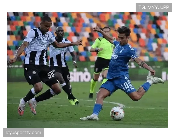 莱切官方:主力中卫巴希奇内收肌受伤,将缺席关键阶段定位球防守任务